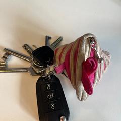 Klúče od auta sleutelbos, ako bolo nahlásené Gemeente Noordwijk pomocou iLost