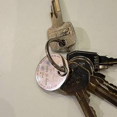 Sleutelbos, zoals gemeld door Pathé de Kuip met iLost