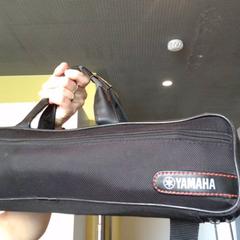 Flauta flutte, segons ha informat MEININGER Hotel Lyon Centre Berthelot mitjançant iLost