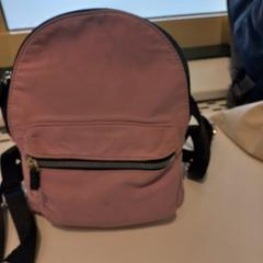 Handtas, rapporterat av Arriva Limburg Zuid med iLost