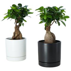 IKEA produktua Blanc, gisa salatu by IKEA Lyon Grand Parilly iLost erabiliz