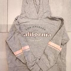 Sweat Grijs, a été signalé par Gemeente Puurs-Sint-Amands utilisant iLost