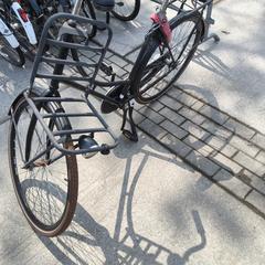 İLost kullanarak Stadswerk072 tarafından bildirildiği gibi Herenfiets