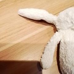 Knuffel, segons ha informat Beekse Bergen Resorts en Hotel mitjançant iLost