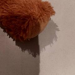 Knuffel, ako bolo nahlásené De Efteling pomocou iLost