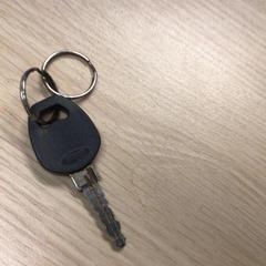 İLost kullanarak Gemeente Arnhem tarafından bildirildiği gibi Bisiklet anahtarı