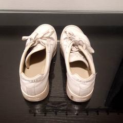 Sabata, segons ha informat Grand Hotel Amrath Kurhaus mitjançant iLost