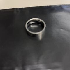 Anillo, ha sido reportado por Burgers' Zoo con iLost