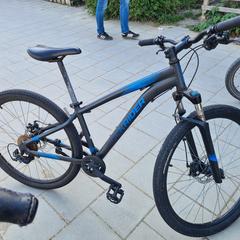 Decathlon rockrider mountainbike, iLost-i jakinarazi zaion moduan