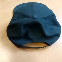 Clothing - pet, as reported by Regio Antwerpen - Brussel using iLost