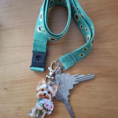 Sleutels, jak bylo nahlášeno na iLost