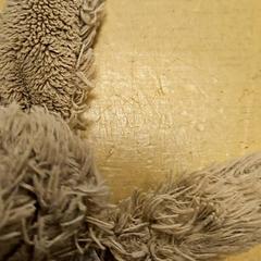 Peluche, como reportado por Avonturenboerderij Molenwaard utilizando o iLost