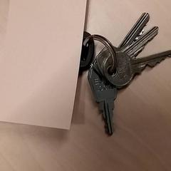 Sleutebos, zoals gemeld door RET met iLost