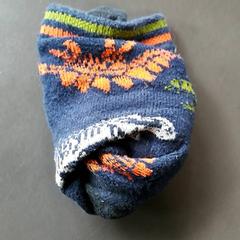 양말 Blauw dinos, iLost를 사용하여 Burgers' Zoo에 보고됨