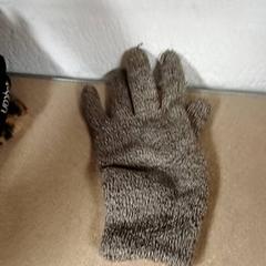 Handschuh Grijs, gemeldet von Qbuzz GD Groningen Peizerweg über iLost