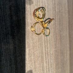 Ring, as reported by Van der Valk Hotel Haarlem using iLost