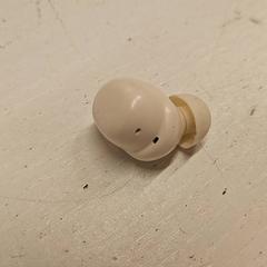 귀 플러그, iLost를 사용하여 GVB에 보고됨