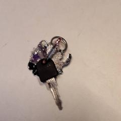 鍵 がiLostで Qbuzz ZHN によって報告されました