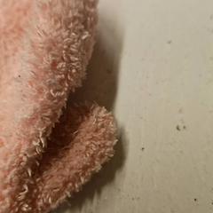 Votter, som rapportert av HTM ved bruk av iLost