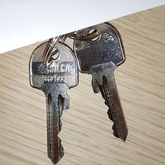 Giltzak, gisa salatu by Centraal magazijn iLost erabiliz