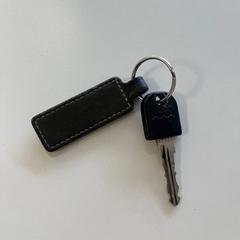 Sykkelnøkkel, som rapportert av Gemeente Ede ved bruk av iLost