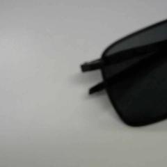 Sunglasses, as reported by Walibi Holland using iLost