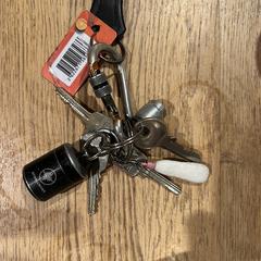 Sleutelbos, som rapporterats till iLost