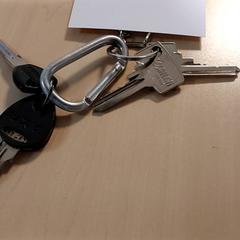 Sleutels, gemeldet von Regio Oost-Vlaanderen über iLost