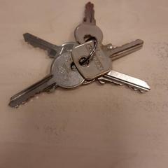 Keychain met 5 sleutels, as reported by Gemeente Diepenbeek using iLost