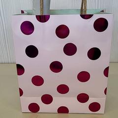 Gift bag, as reported by Transdev Gooi en Vechtstreek using iLost