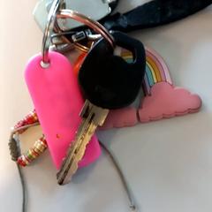 Kľúčenka, ako bolo nahlásené Arriva Limburg Noord pomocou iLost