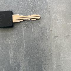 Key, as reported by RRReis Arriva Achterhoek-Rivierenland using iLost