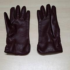 Hansker, som rapportert av Arriva Oost-Brabant ved bruk av iLost