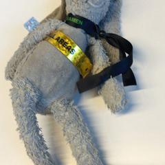 Knuffel, como reportado por Gemeente Haarlem utilizando o iLost