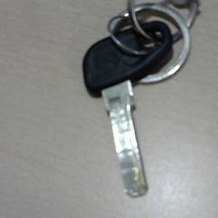 Fahrradschlüssel, gemeldet von Walibi Holland über iLost