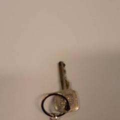 Key, as reported by Zuyderland MC Sittard-Geleen using iLost