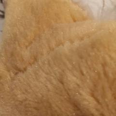 Knuffel, as reported by De Efteling using iLost