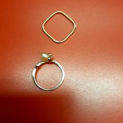 الخاتم، كما تم الإبلاغ عنه بواسطة UvA REC عبر iLost