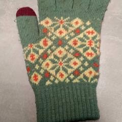 Hanske Groen, som rapportert av Arriva Friesland / Groningen ved bruk av iLost