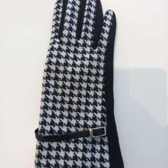 장갑, iLost를 사용하여 Arriva Limburg Zuid에 보고됨