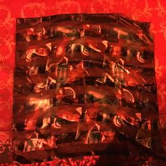 Sjaaltje, ako bolo nahlásené De Heeren van Aemstel pomocou iLost