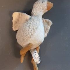 Kosete leke, som rapportert av Diergaarde Blijdorp ved bruk av iLost