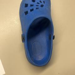 Children's shoe crocks, as reported by Burgers' Zoo using iLost
