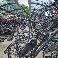 Fahrrad Gazelle Zwart, gemeldet von Gemeente Barneveld über iLost