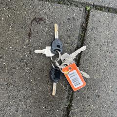 Keys, jak bylo nahlášeno na iLost