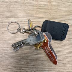 Sleutels, zgłoszono przez TCR Tours przy użyciu iLost