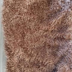 Kleidung - halsverwarmer, gemeldet von Regio Antwerpen - Brussel über iLost