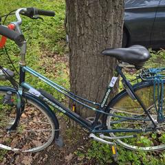 Bicicleta femenina, segons ha informat Gemeente Roermond mitjançant iLost