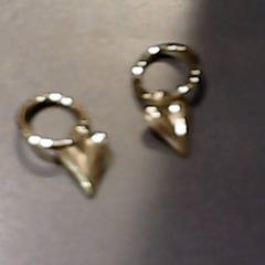 Earring, as reported by SnowWorld Landgraaf using iLost