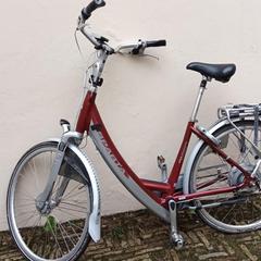 elektrische fiets, segons s'ha informat a iLost